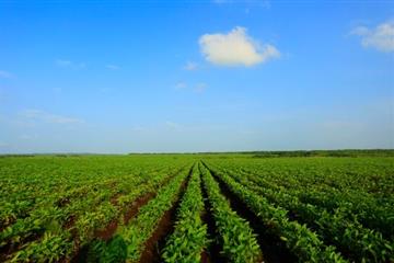 星空體育APP:家電最新資訊-快科技--科技改動(dòng)未來(lái)